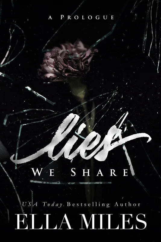 Lies We Share book cover